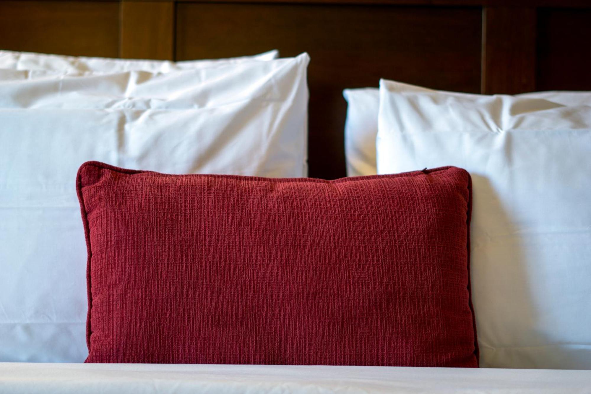Quality Inn & Suites (Adults Only) Vancouver Eksteriør billede