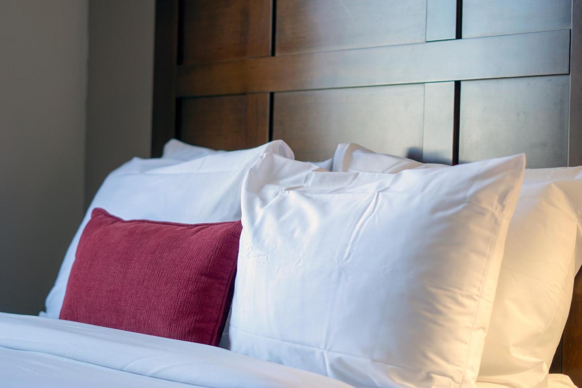 Quality Inn & Suites (Adults Only) Vancouver Eksteriør billede